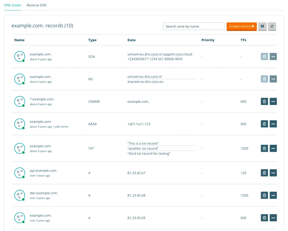 An example of Cyso Cloud's DNS Interface